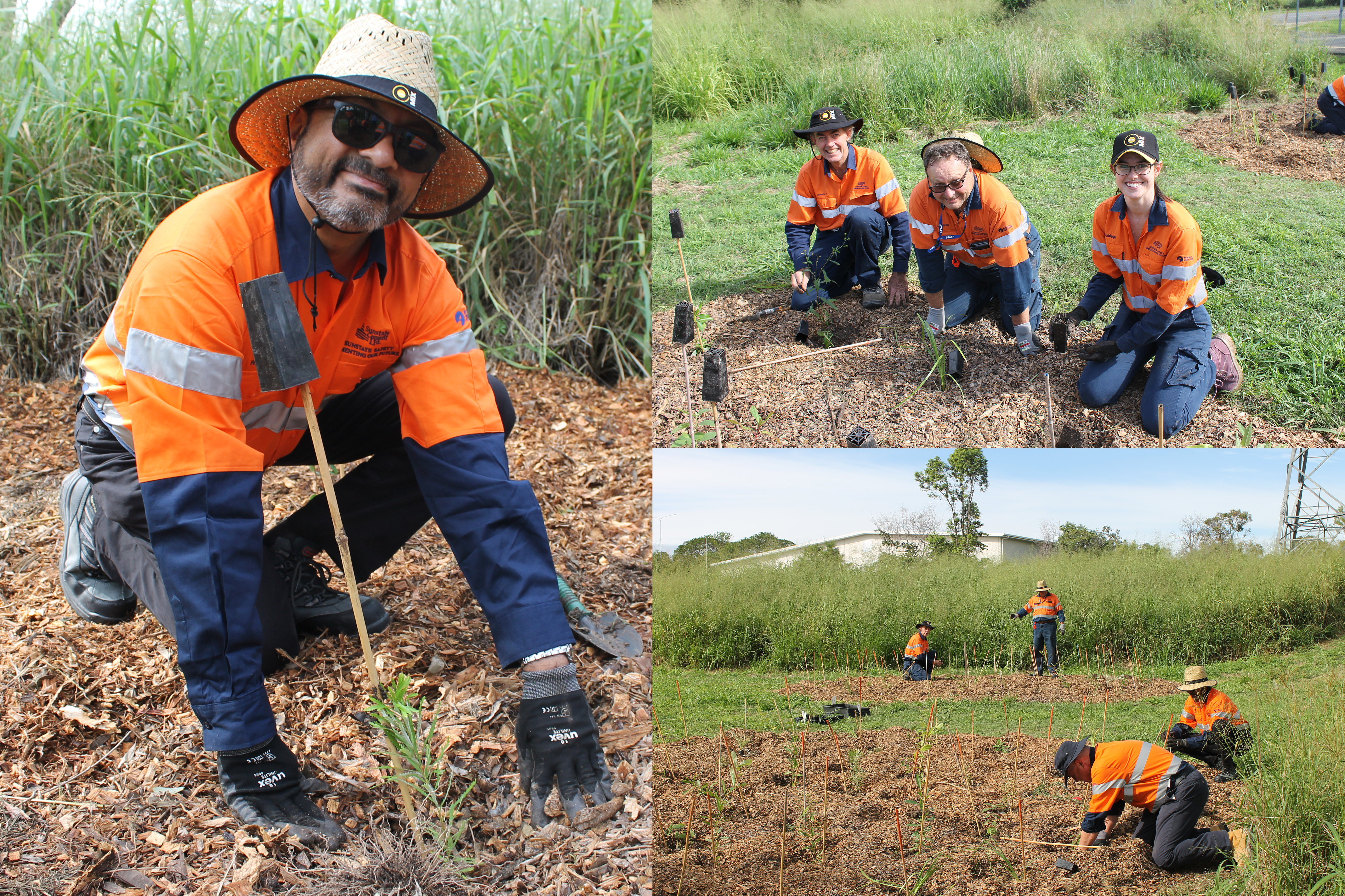 The Sunstate Cement volunteer team - planting trees for Earth Day 2019